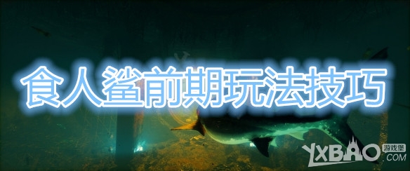 《食人鲨》前期玩法详解