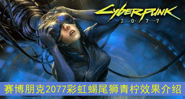 赛博朋克2077彩虹蝎尾狮青柠效果介绍
