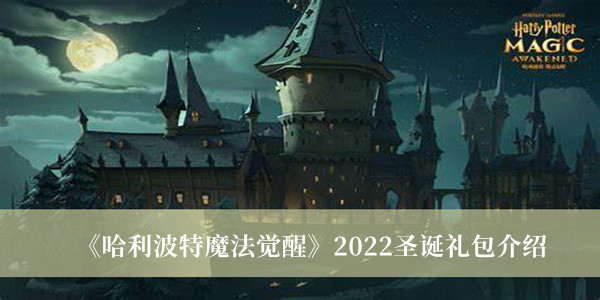 哈利波特魔法觉醒2022圣诞礼包介绍