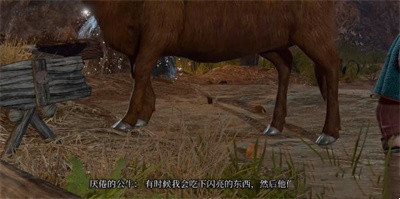 博德之门3动物谈话药水跟公牛对话小袋子获得方法介绍